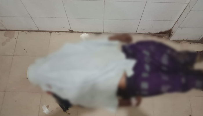 ব্রাহ্মণবাড়িয়ায় সড়ক দুর্ঘটনায় রিকশাচালক নিহত