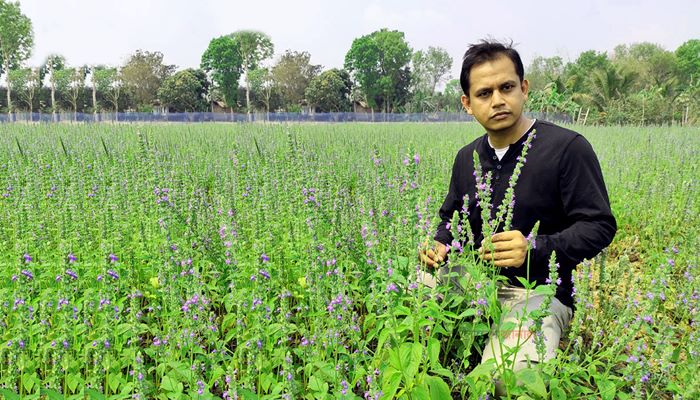 চিয়া চাষে চিকিৎসকের সফলতা