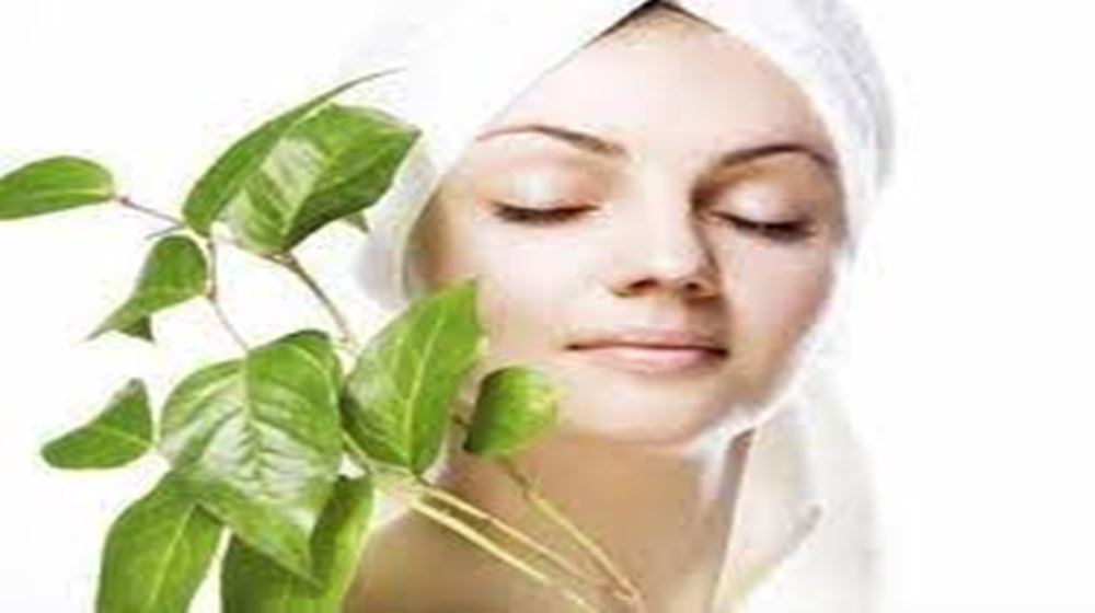 ত্বক ও চুলের যত্নে বাড়িতে ৫ গাছ