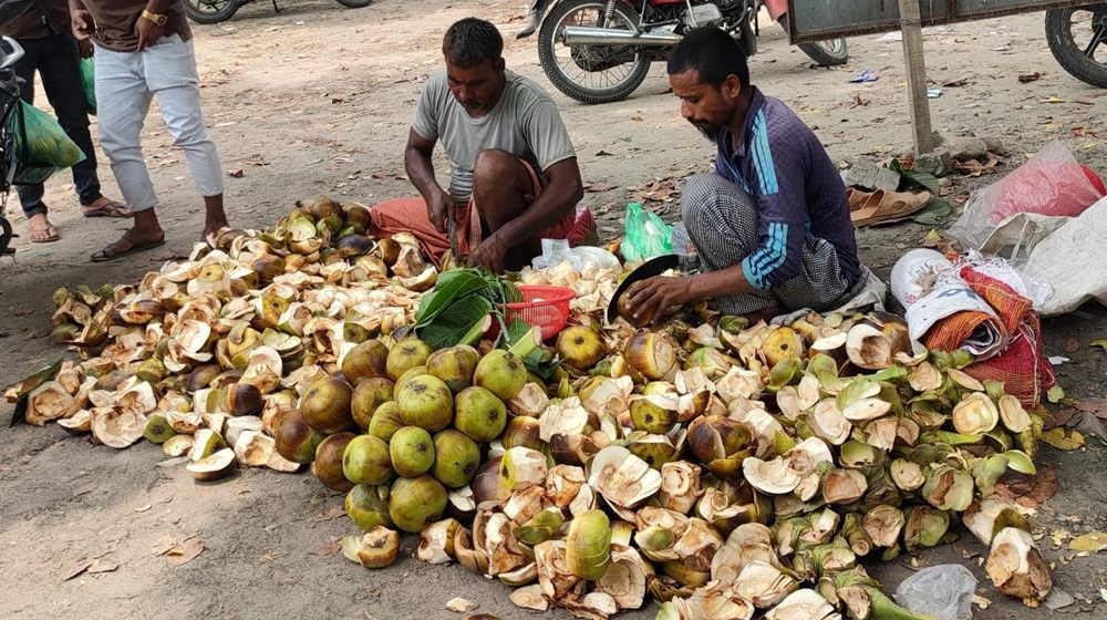 চুয়াডাঙ্গার জীবননগরে তালের শাঁসের কদর বেড়েছে