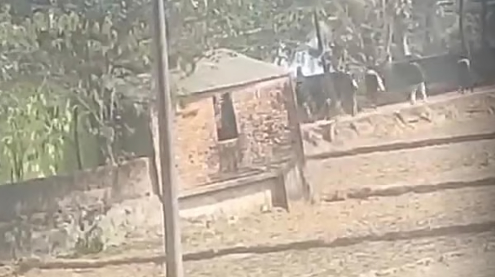 রাউজানে ভোটের আগের দিন প্রবাসী বিএনপি কর্মীর বাড়ি লক্ষ্য করে গুলি