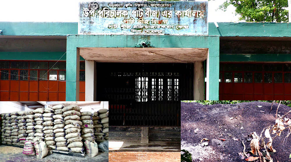 কুষ্টিয়ায় নিম্নমানের বীজে ক্ষতিগ্রস্ত কৃষক, প্রশ্নের মুখে সরকারি প্রণোদনা