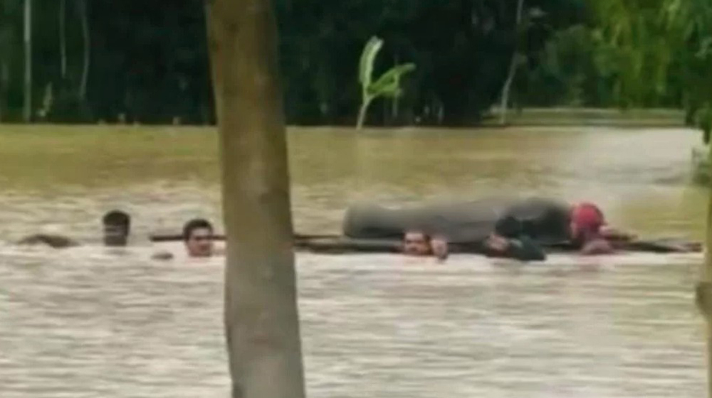 বন্যার কারণে ভেলায় ভাসিয়ে লাশ নেওয়া হলো ২ কিমি দূরের কবরস্থানে