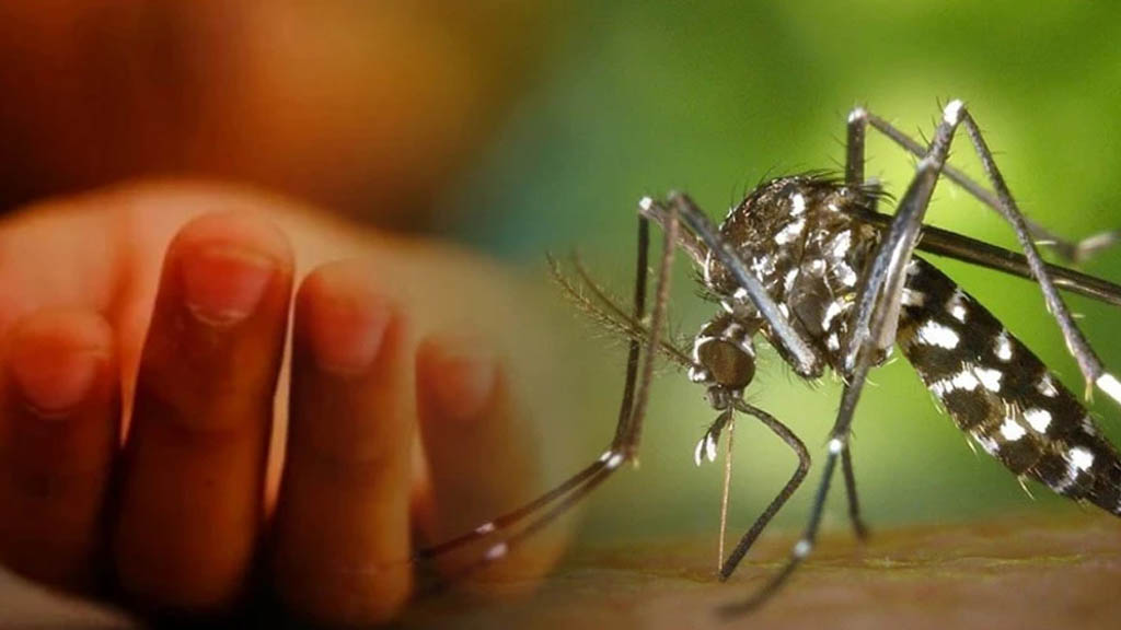 ডেঙ্গুতে একদিনে ৩ মৃত্যু, হাসপাতালে ৩৭২ জন