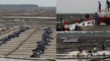 কালবৈশাখীতে লবণের মাঠ তছনছ, বিপাকে ৫০ হাজার চাষি