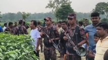 পুশ ইন ঠেকাতে সীমান্তে ৬০ হাজার বিজিবি মোতায়েন