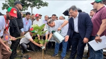 দেশব্যাপী ২৫ কোটি বৃক্ষরোপণ কর্মসূচির উদ্বোধন করলেন প্রধানমন্ত্রী