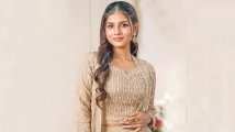 শিহাব শাহীনের ছবিতে বিদুষী বর্ণিতা