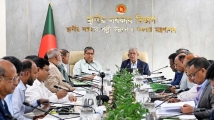 ডেঙ্গু প্রতিরোধে টাস্কফোর্স গঠনের সিদ্ধান্ত