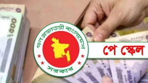 নবম পে স্কেল: জুলাই থেকেই কার্যকর হতে পারে নতুন মূল বেতন