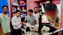 পথ কুকুরকে কুপিয়ে জখমের অভিযোগে ব্যবসায়ী গ্রেপ্তার
