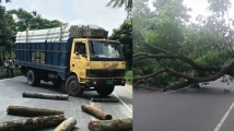 আসলাম চৌধুরীর প্রার্থিতা বাতিলের খবরে গাছ ফেলে মহাসড়ক অবরোধ