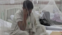 ডেঙ্গুতে আক্রান্ত হয়ে হাসপাতালে আরও ২৭১ জন