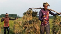 উত্তরাঞ্চলে কৃষির উন্নয়নে ৩০০০ কোটি টাকার তহবিল গঠন