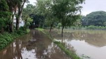 টানা বৃষ্টিপাতে সাতক্ষীরার নিন্মাঞ্চল প্লাবিত