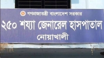 পেঁয়াজ নিতে র্যাকে হাত দিতেই সাপের ছোবল, গৃহবধূর মৃত্যু