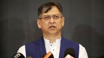 রাষ্ট্রপতির পদটিকে সাংবিধানিক প্রতিষ্ঠান হিসেবে দেখে বিএনপি: স্বরাষ্ট্রমন্ত্রী