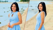 হঠাৎ পাকিস্তান সফরে গিয়ে আলোচনায় নাজনীন নীহা