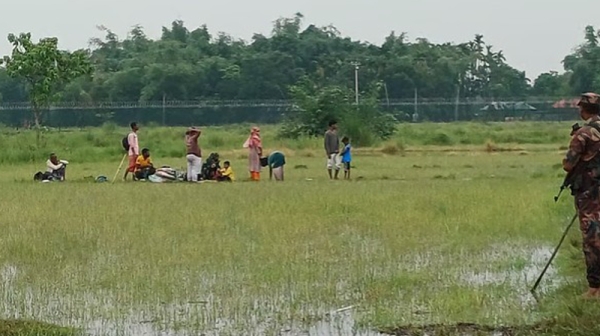 পঞ্চগড় সীমান্তের শূন্যরেখা থেকে ১০ জনকে সরিয়ে নিল বিএসএফ